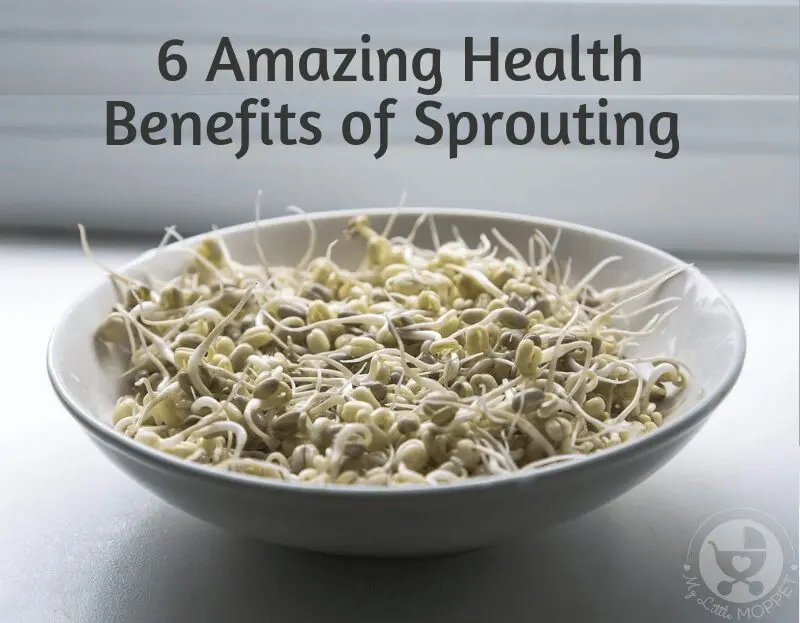 Great benefits of small sprouts