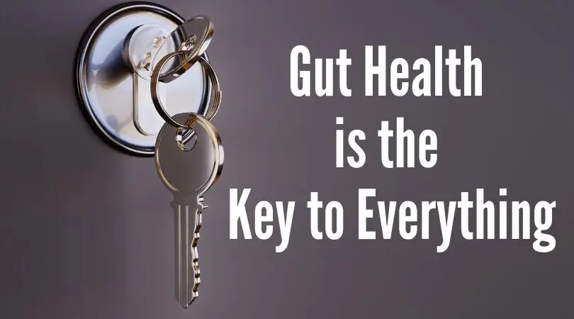 Gut health is the key to glowing skin