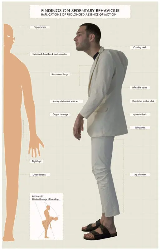 How a sedentary lifestyle deforms the brain