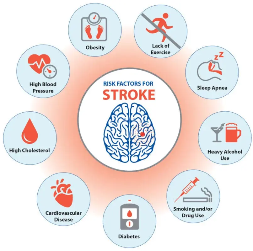 How Fiber Can Help Prevent Stroke