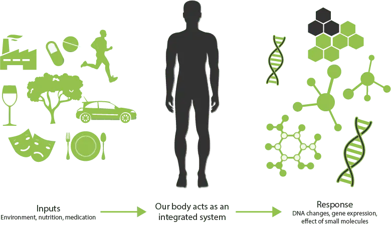 How lifestyle changes genes