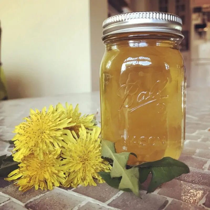 How long dandelion jam to cook?