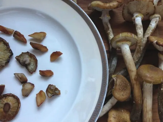 How long honey mushrooms are boiled during cooking?