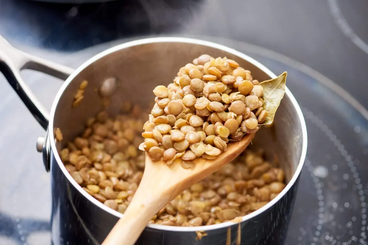 How long lentils to cook?