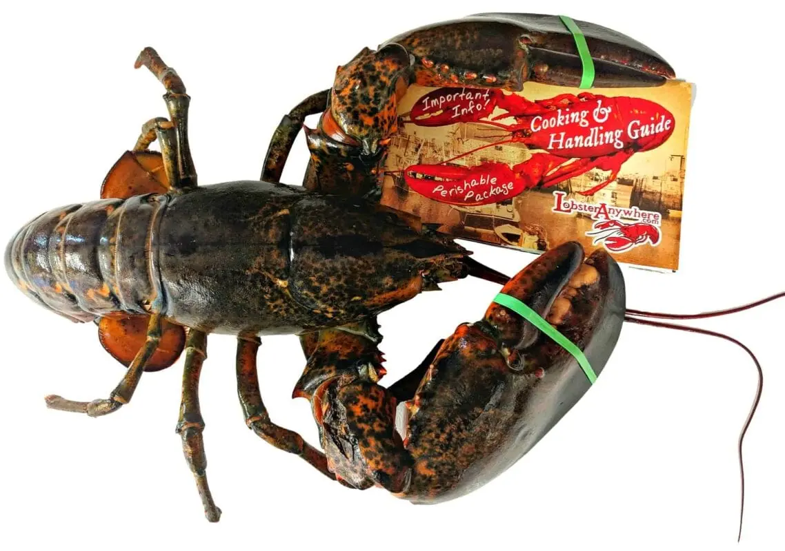 How long water do you need to cook crayfish?