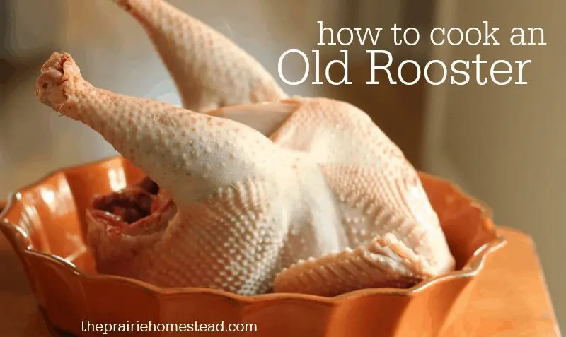 How long to cook a rooster?