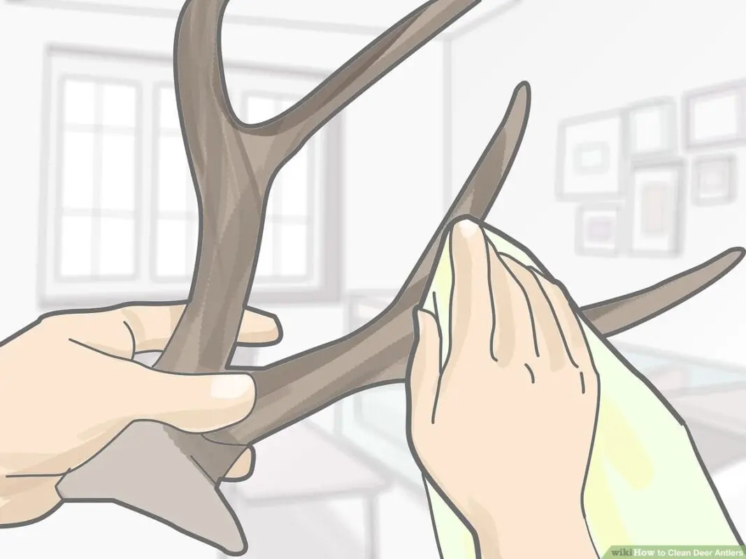 How long to cook antlers?