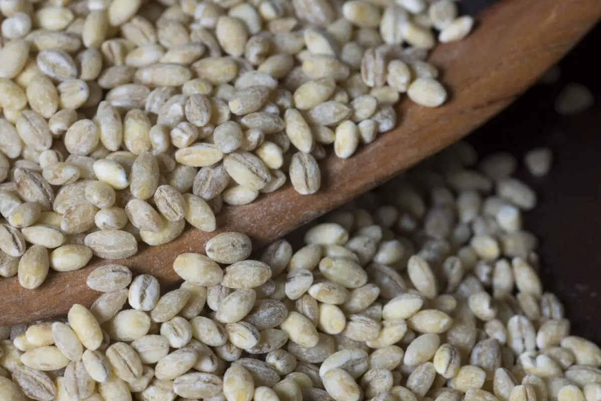 Pearl barley