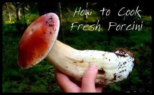 How long to cook boletus?
