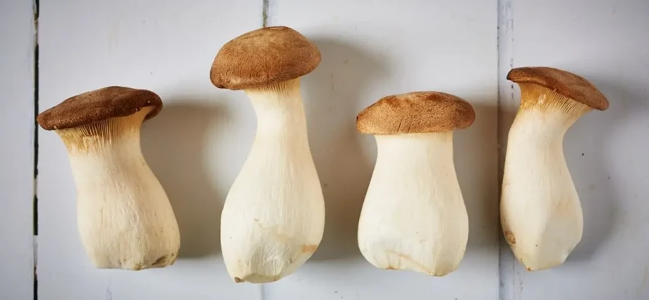 How long to cook eringa mushrooms?