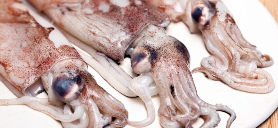 Hvor længe man skal tilberede frisk blæksprutte
