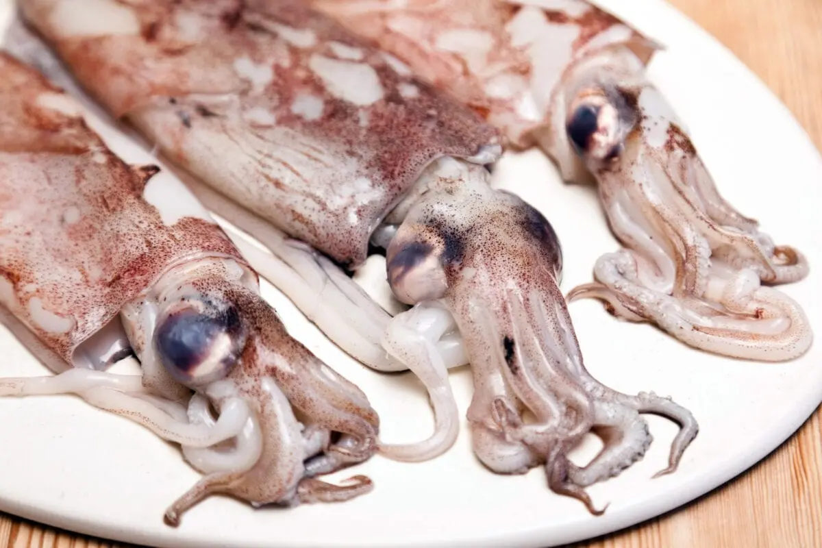 How long to cook fresh squid