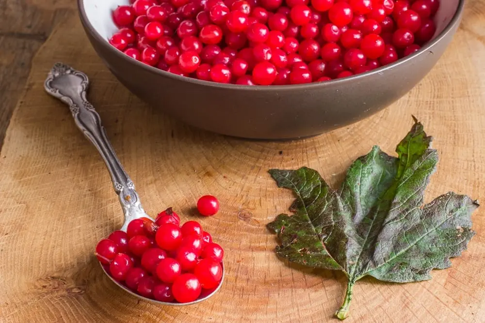 How long to cook fruit juice from viburnum?