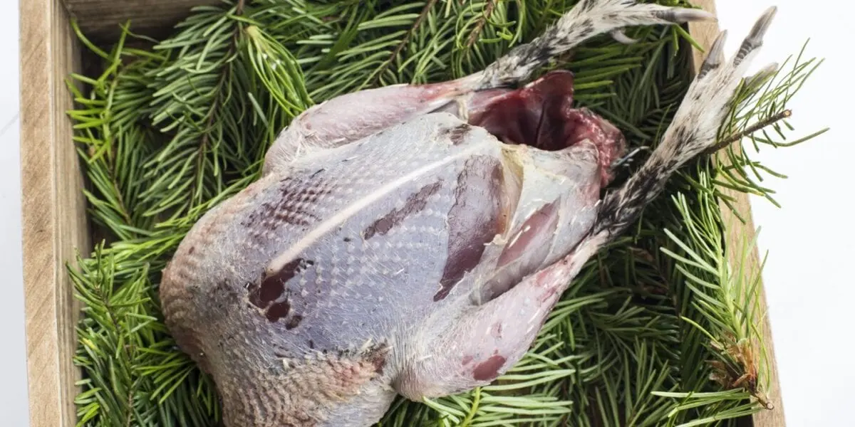 How long to cook hazel grouse?