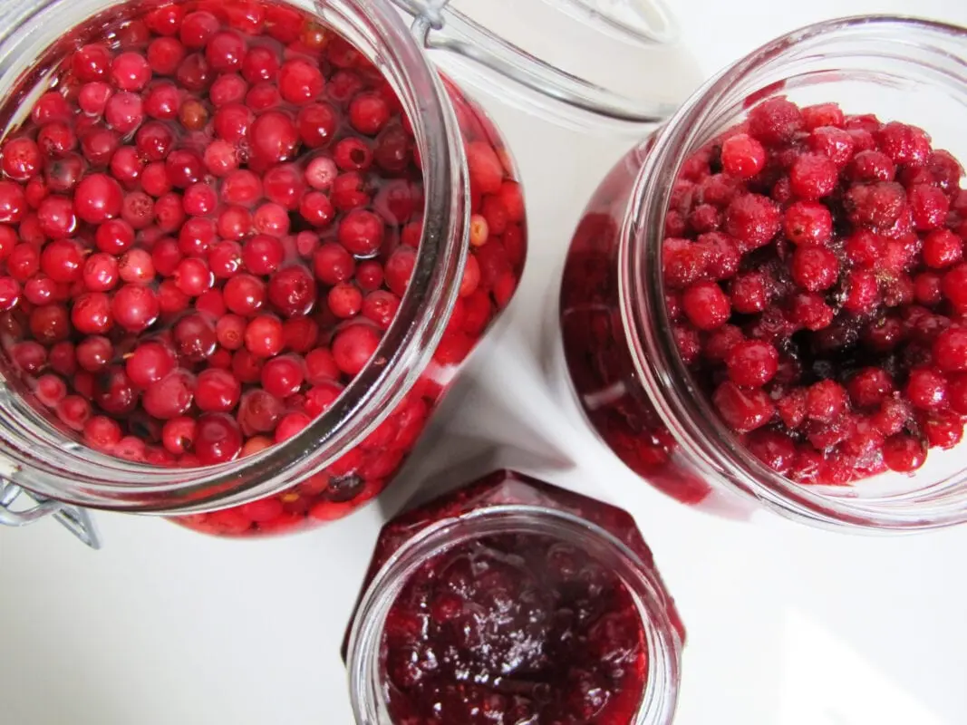 How long to cook lingonberry juice?