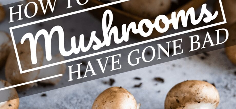 How long to cook May mushrooms?
