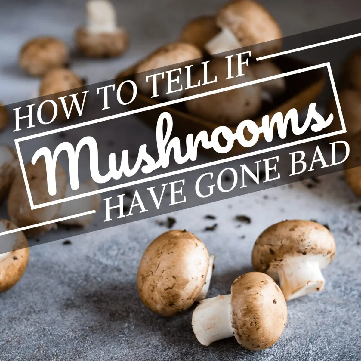 How long to cook May mushrooms?