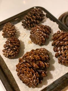 How long to cook pine cones?