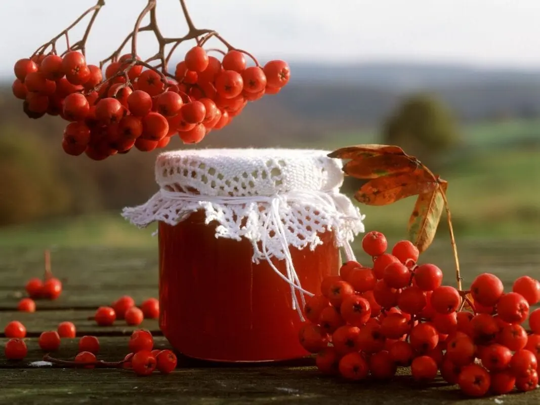 How long to cook red rowan jam?