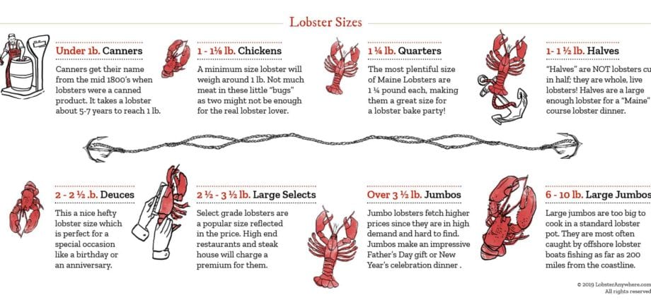 Quantos lagostins você precisa por porção?