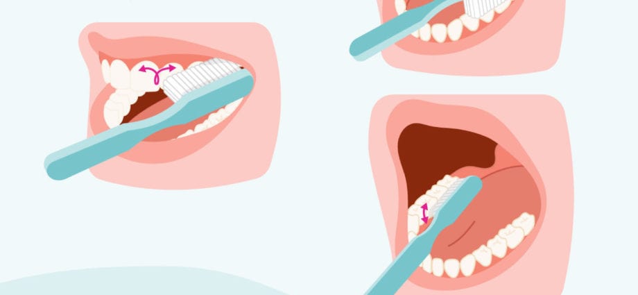 Hoe u uw tanden op de juiste manier poetst