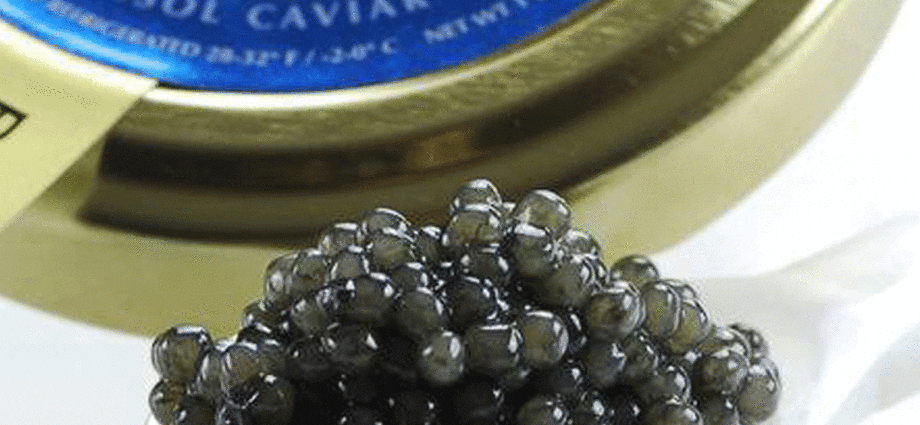 Com comprar el millor caviar per a Shrovetide