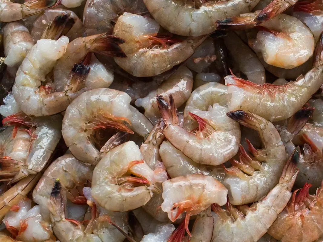 How to choose shrimp