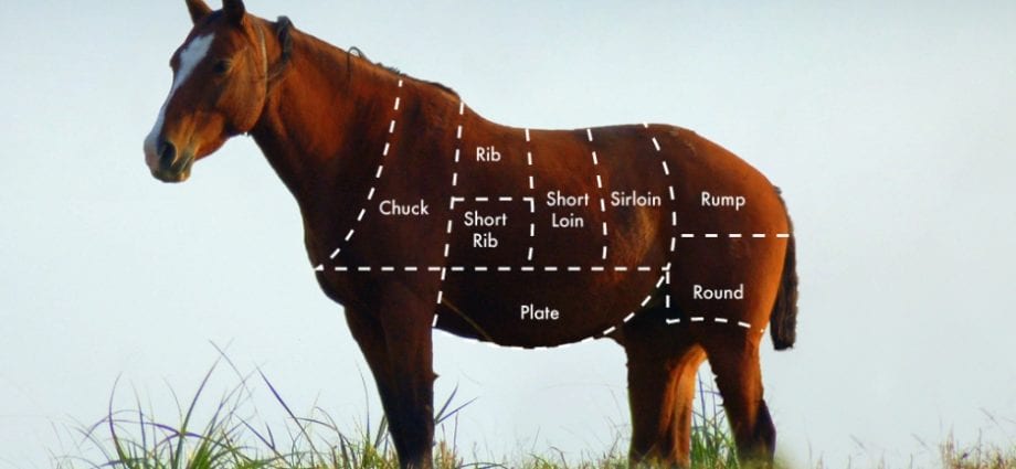 Kako kuhati konjsko meso?
