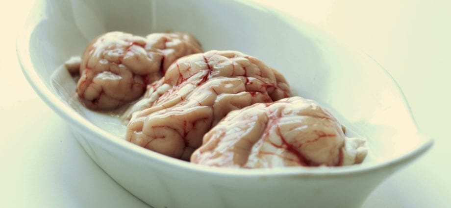 How to cook pork brains?