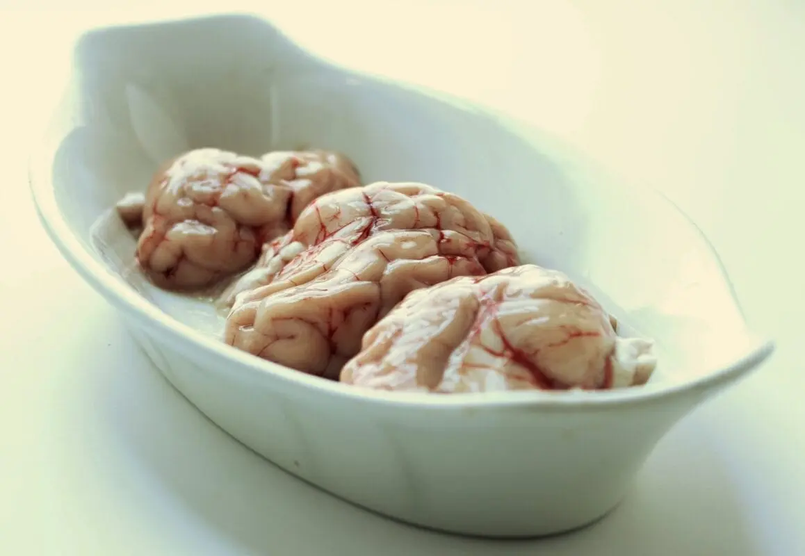 How to cook pork brains?