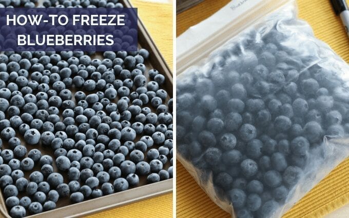 Paano i-freeze ang mga blueberry para sa taglamig