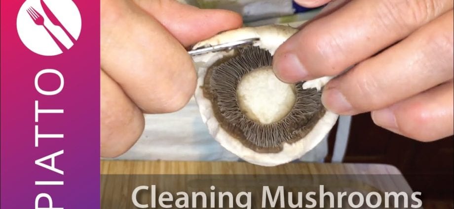 How to quickly clean mushrooms