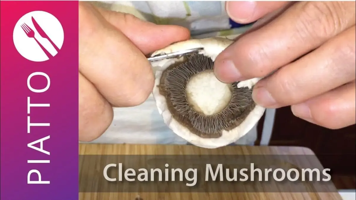 How to quickly clean mushrooms