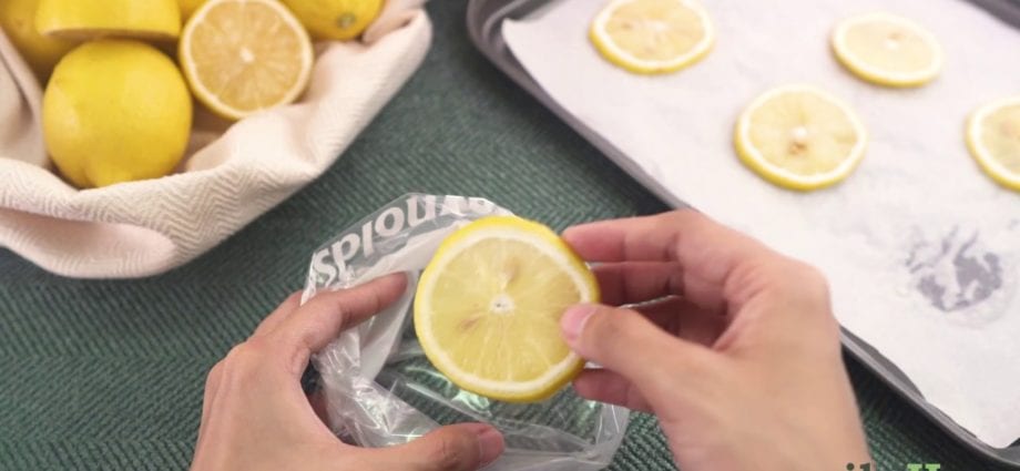 Sådan opbevares skivet citron korrekt