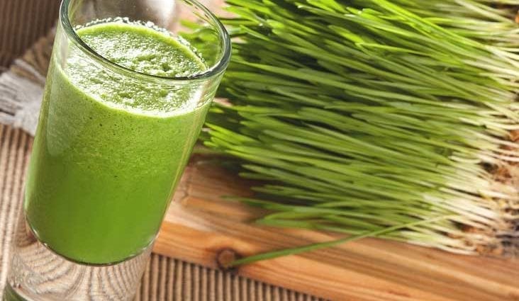 How Vitgrass Juice Fights Aging, Cancer and Inflammation and Where to Buy It