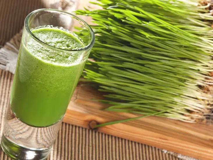 How Vitgrass Juice Fights Aging, Cancer and Inflammation and Where to Buy It