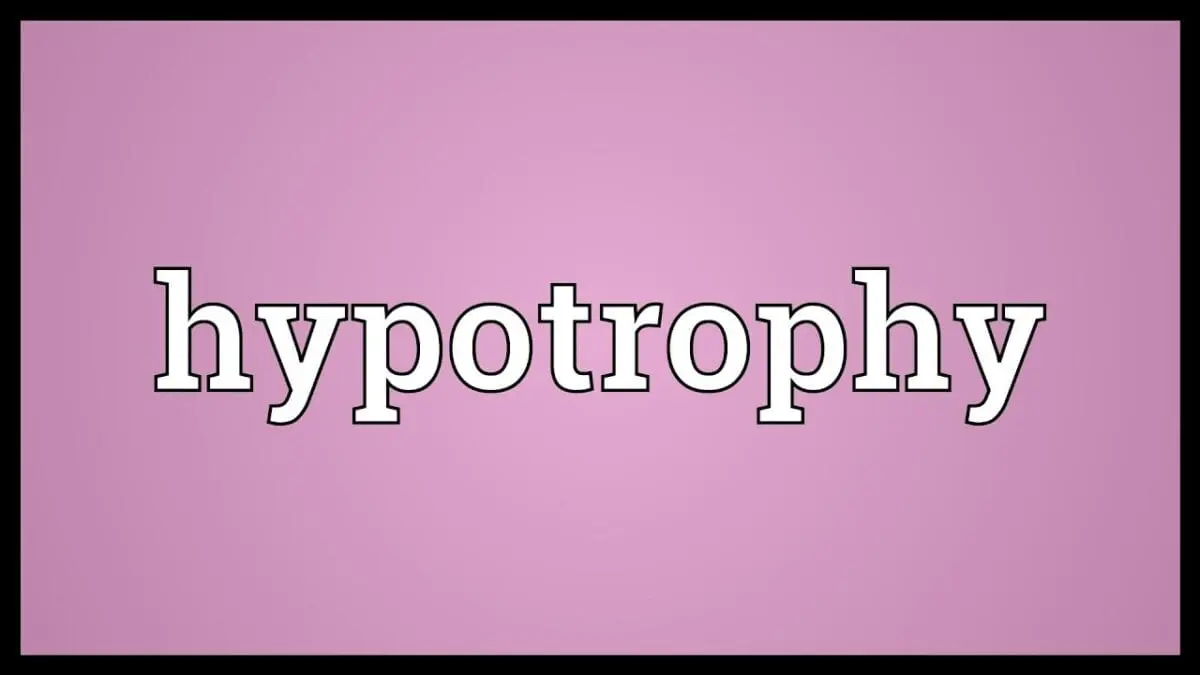 Hypotrophy