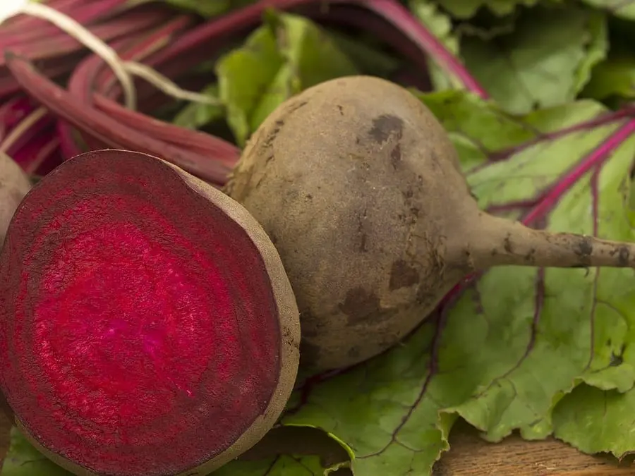 If boiled beets are bitter