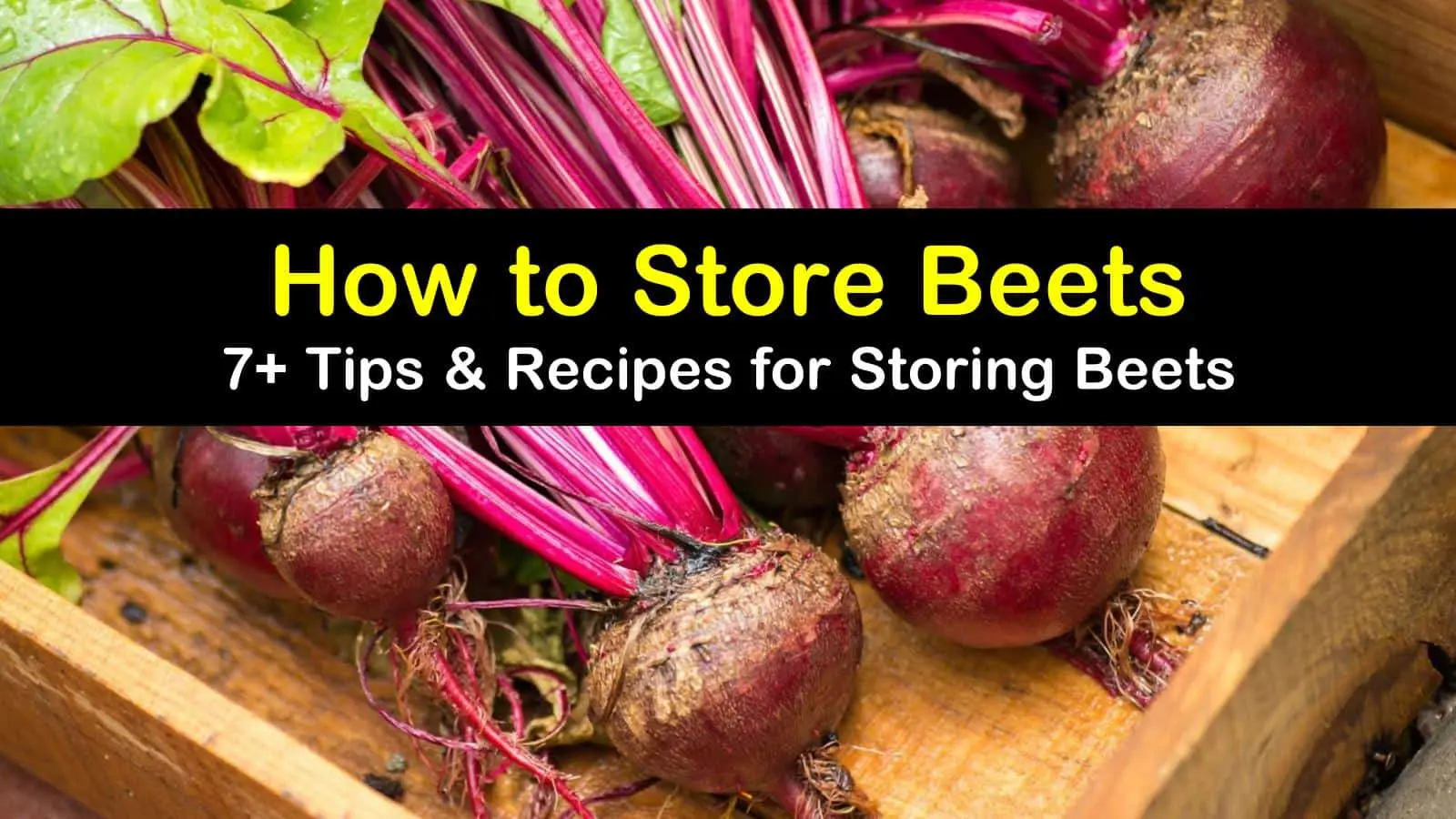 If the beets are withered, what to do?