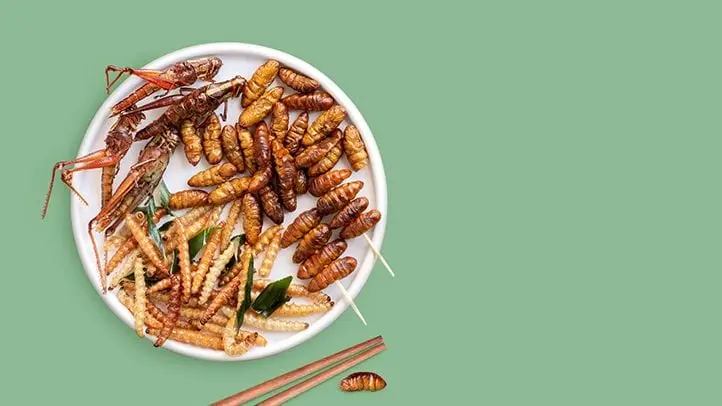 Insect bars and other 5 healthy snacks of the future