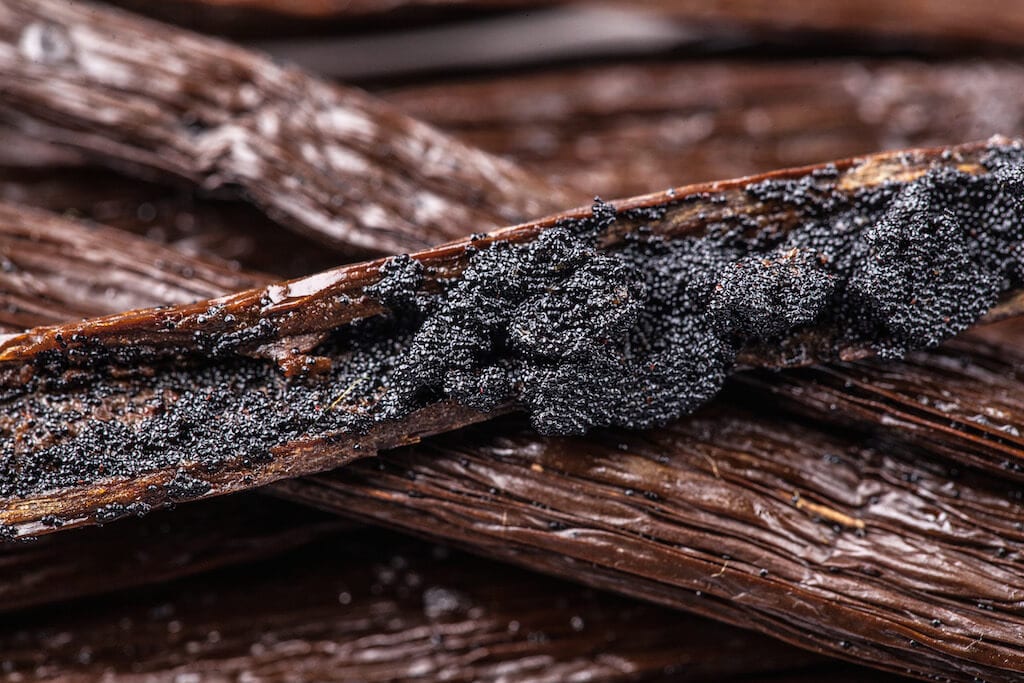 Interesting and amazing facts about vanilla