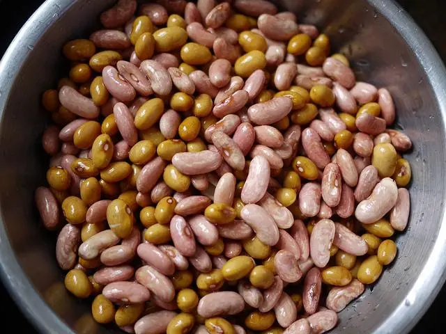 Is it possible to lose weight if you have beans