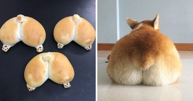 일본 빵집은 개 엉덩이 빵을 만듭니다