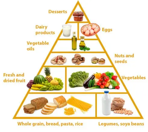 Lacto-vegetarianism