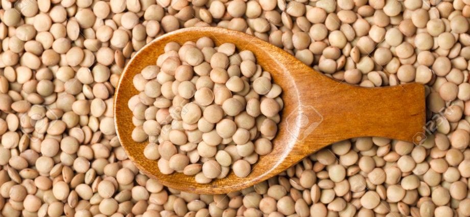 Lentils and raw food