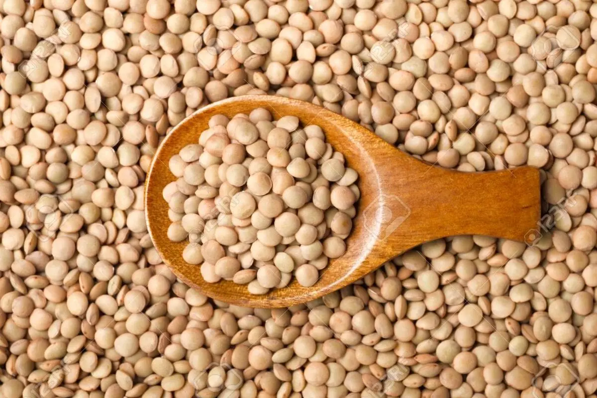 Lentils and raw food