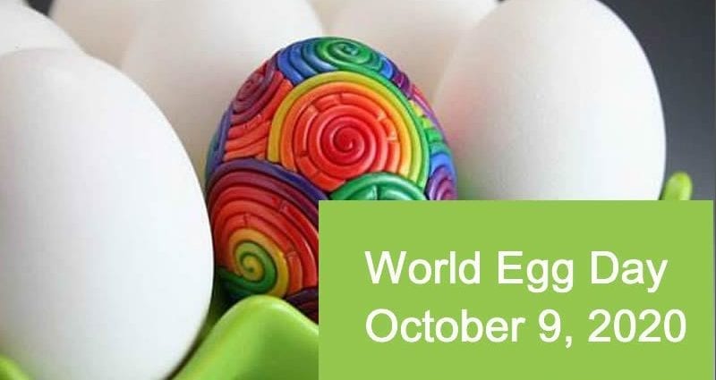 Juhlitaan munapäivää: loma munien, munakas, vuoka ystäville
