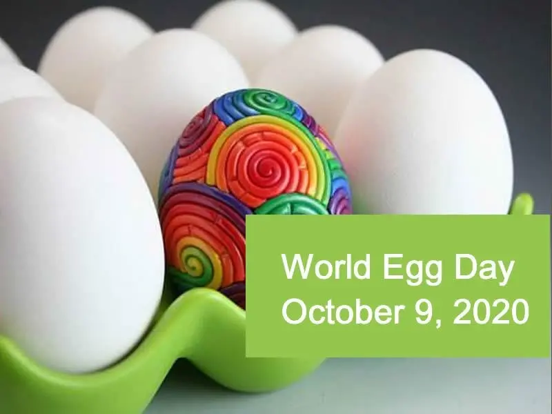 Let&#8217;s celebrate Egg Day: a holiday for lovers of eggs, omelets, casserole