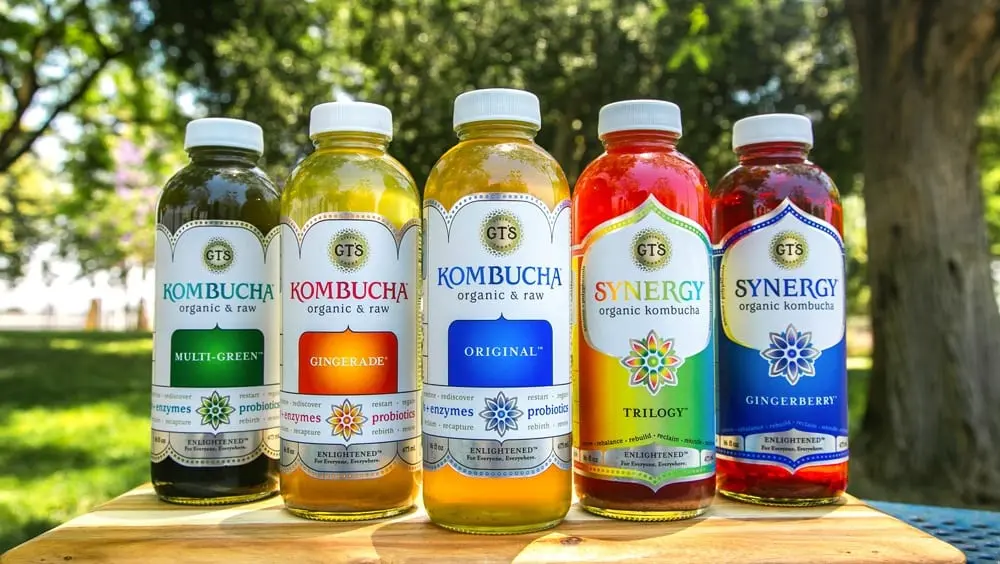 Many diseases &#8211; one kombucha