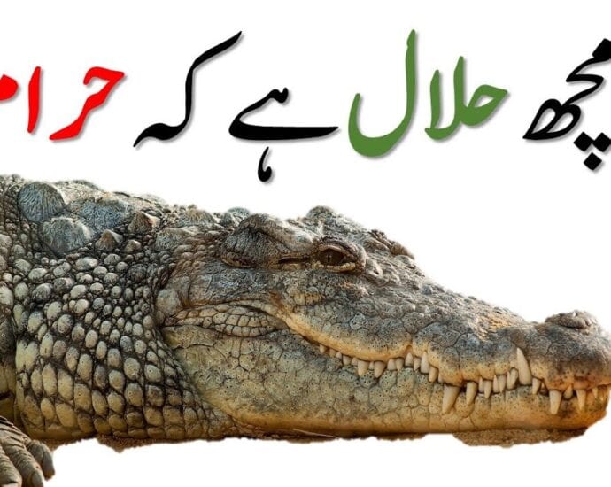Krokodilo haragia halal da